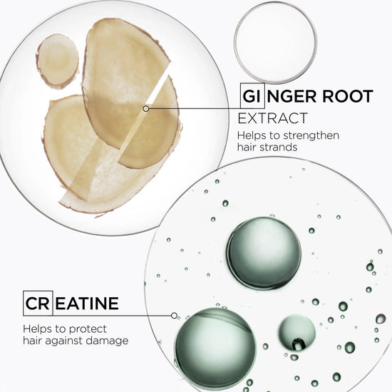 Close-up of active ingredients in shampoo: ginger root extract for strengthening hair strands, and creatine for protecting hair against damage.